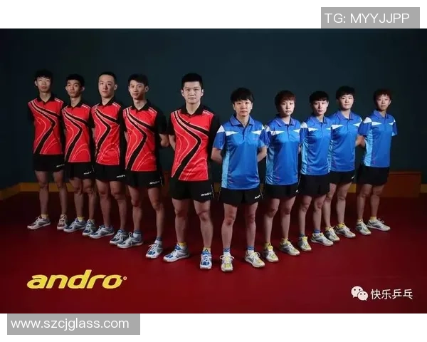 杭州乒乓球队与北京乒乓球队赛后复盘分析力量对比与战术探讨