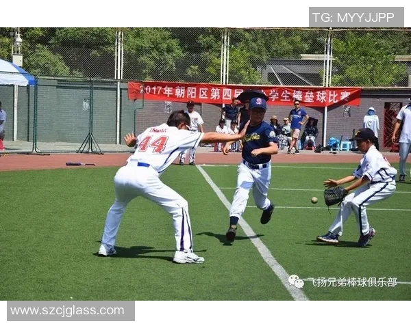 重庆羽毛球队的奋斗与荣耀：一段不平凡的突破之路纪实