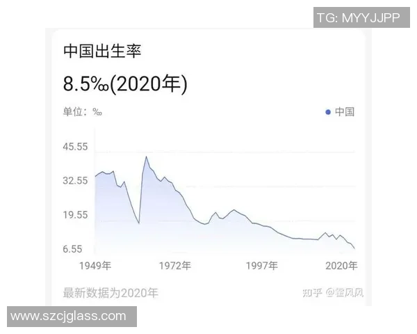 北京篮球队实力飙升创历史新高引发全国关注与热议